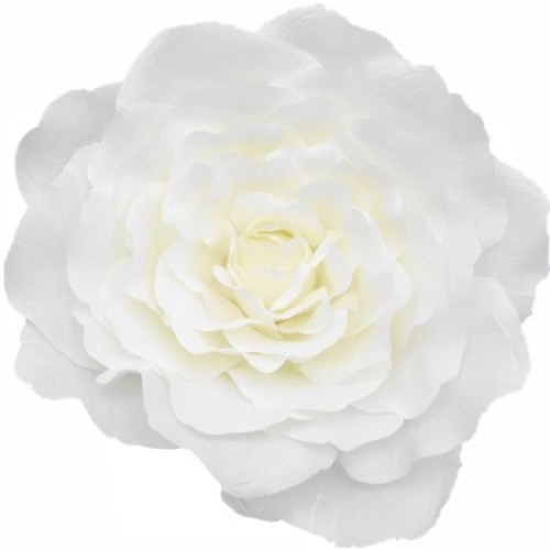 Giant Artificial Roses Cream No Stem 70cm | VM Display Prop or Wall Decoration - R900 Giant Artificial Roses Cream No Stem 70cm | VM Display Prop or Wall Decoration - R900