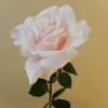 Luna Artificial Rose Pale Pink 64cm - R935 N3