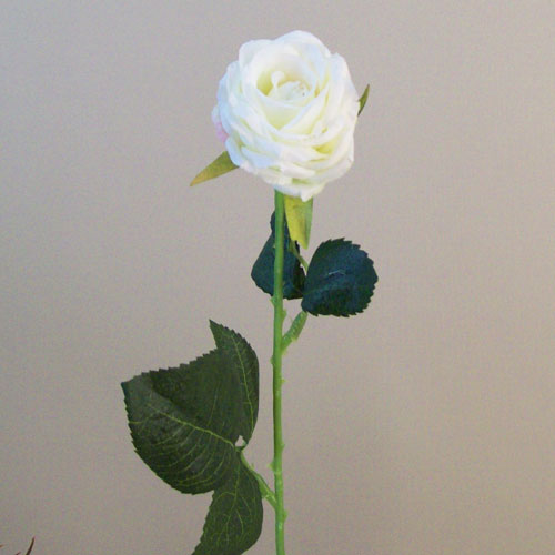 Button Roses Stem Cream 40cm - R687 O2