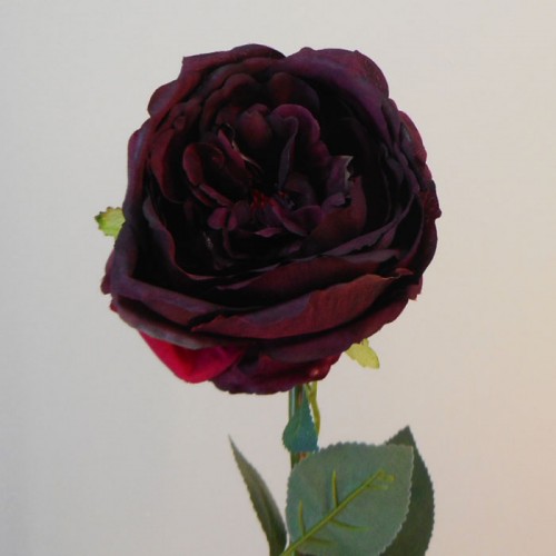 Artificial Cabbage Rose Burgundy 66cm - R822 R3