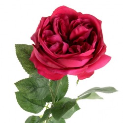 Artificial Cabbage Rose Cerise Pink 60cm - R777 O4