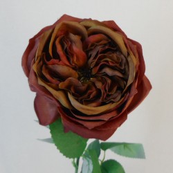 Artificial Cabbage Rose Chestnut Brown 60cm - R779 