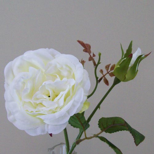 Artificial Cabbage Roses Cream 37cm - R425 P2