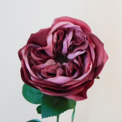 Artificial Cabbage Rose Dusky Dark Pink 60cm - R780 O2
