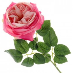 Artificial Cabbage Rose Bright Pink 60cm - R765 P3