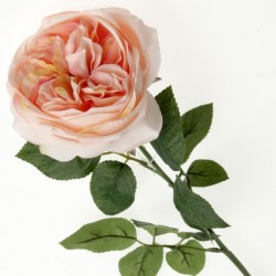 Artificial Cabbage Rose Peach 60cm - R778 O2
