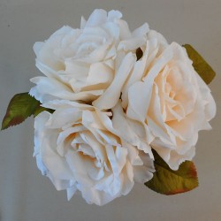 English Roses Bundle Blush Peach 24cm - R485 Q4