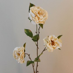 Artificial Roses Spray Cream Floribunda 80cm - R539 CC1