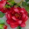 Artificial Flowers Garden Roses Garland Red - R894 