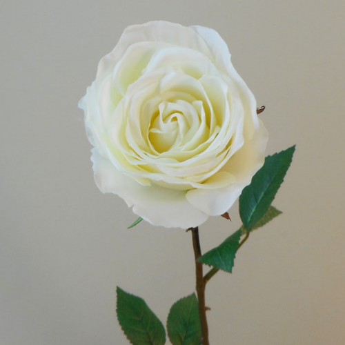 Artificial Roses Cream 65cm - R503 DD4