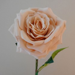 Artificial Roses Large Champagne Peach 76cm - R706 HH4