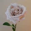 Artificial Roses Large Nude 76cm - R703 N4