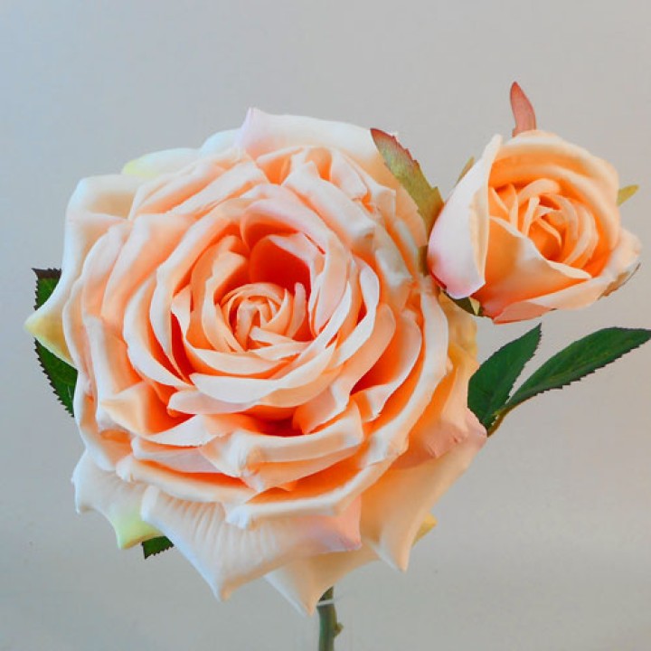 Peach Flowers Peach Flowers