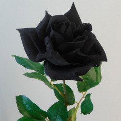 Artificial Tea Rose Black 68cm - R058 M3