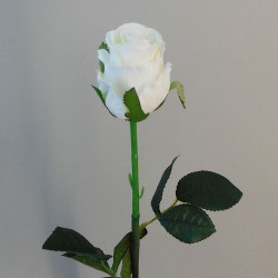 Belgravia Rose Buds Cream 45cm - R406 O2