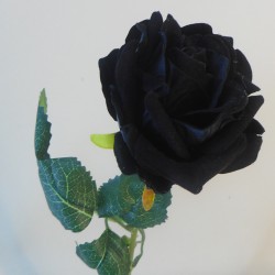 Black Velvet Rose 47cm - R319