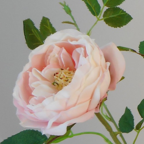 Catherine Artificial Spray Roses Pale Pink 84cm - R473 BX5