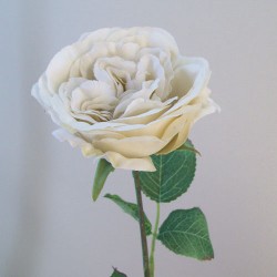 Downton Artificial Roses Cream 55cm - R873 O1