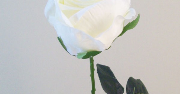 Artificial Eternity Roses Cream 60cm - R831 M3