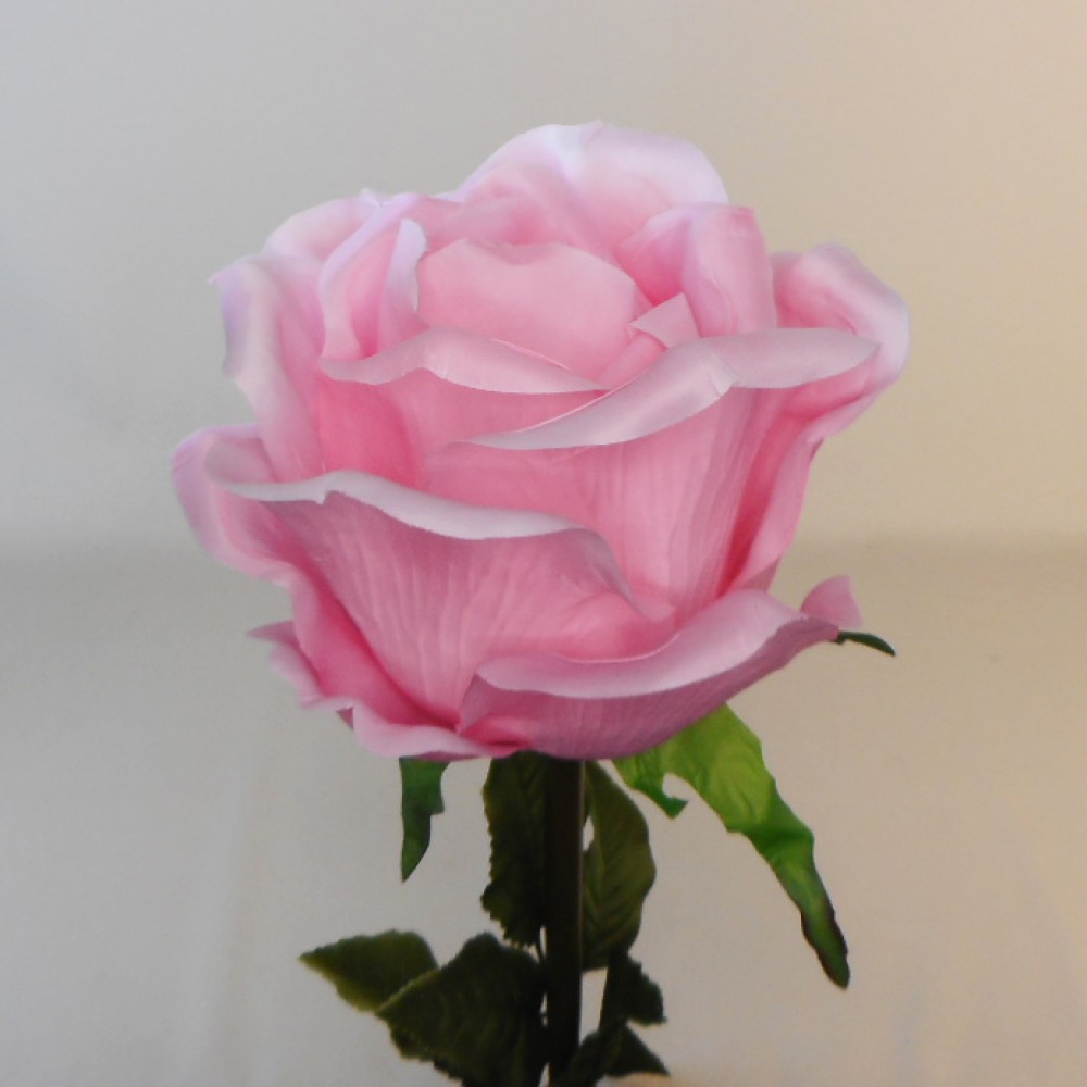 Giant Silk Roses Pink - VM Display Prop 108cm | Artificial Flowers