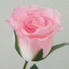 Pink Artificial Rose Buds 57cm - R479 N2