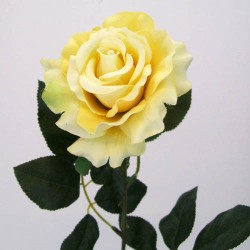 Premium Rose Soft Yellow 70cm - R032 Q3