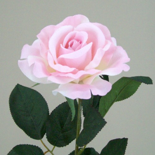 Premium Roses Pink 70cm - R014e 