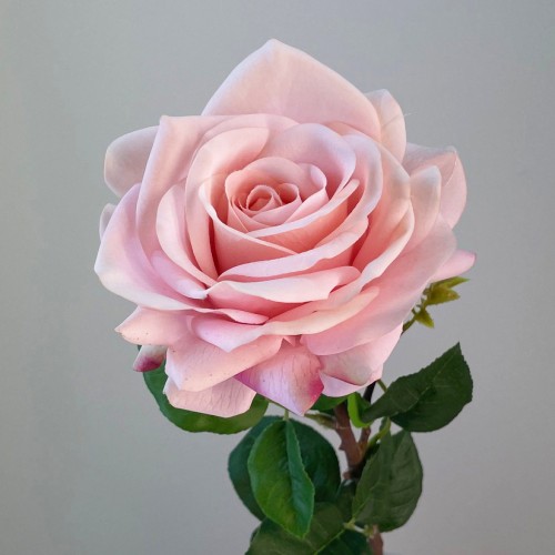 Real Touch Rose Pale Pink 67cm - R007 LL1