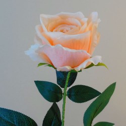 Richmond Artificial Rose Bud Large Peach 68cm - R342 