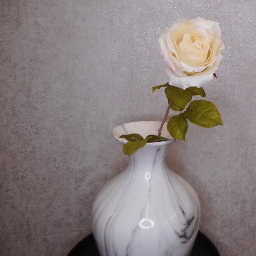 Roses Miss Havisham Cream 64cm - R523 DD3