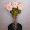 Roses Miss Havisham Pink 64cm - R512 M2