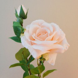 Rydal Artificial Rose Spray Peach 67cm - R107 R1