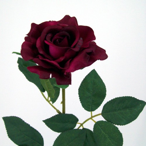 Premium Roses Burgundy 70cm - R014D T3