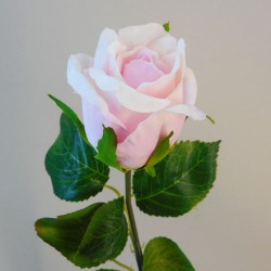 Rosebud Light Pink 41cm - R759 BX12