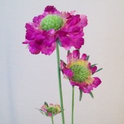 Silk Scabious Flowers Dark Pink 64cm | Artificial Scabiosa - S089 U4