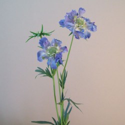 Premium Silk Scabious Flowers Blue | Artificial Scabiosa - S110 Q2