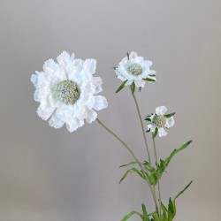 Artificial Scabious Cream 64cm - S060 F3