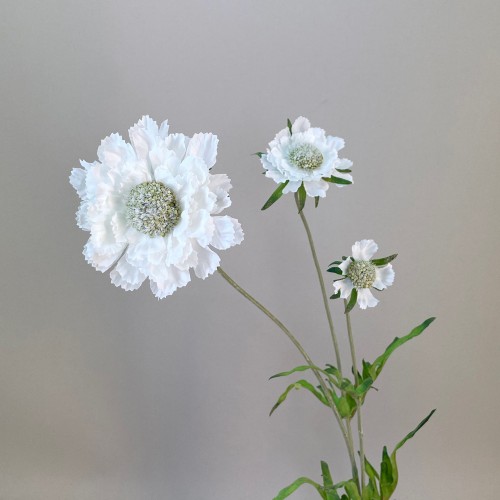 Artificial Scabious Cream 64cm - S060 F3