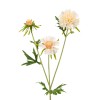 Silk Scabious Flowers Cream 72cm | Artificial Scabiosa - S094 EE3 Silk Scabious Flowers Cream 72cm | Artificial Scabiosa - S094 EE3