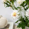 Silk Scabious Flowers Cream 72cm | Artificial Scabiosa - S094 EE3 Silk Scabious Flowers Cream 72cm | Artificial Scabiosa - S094 EE3