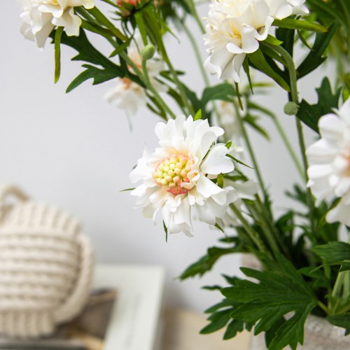 Silk Scabious Flowers Cream 72cm | Artificial Scabiosa - S094 EE3 Silk Scabious Flowers Cream 72cm | Artificial Scabiosa - S094 EE3