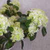 Artificial Sedum Cream Green 65cm - S041 Q2