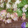 Artificial Seventh Heaven Pink 74cm - S116 I4