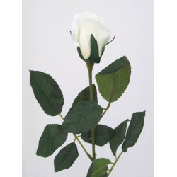 Artificial Bud Roses Cream Ivory 65cm - R008 L3