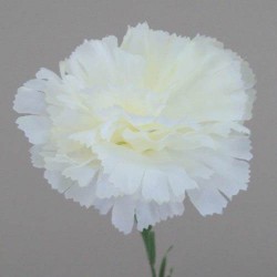 Silk Carnations Cream 45cm - C001A K4