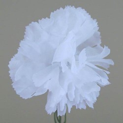 Silk Carnations White 45cm - C001I J3