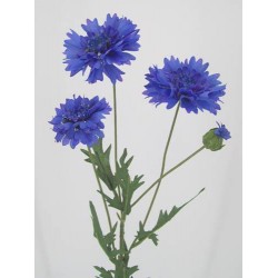 Artificial Silk Cornflowers Large Blue 65cm - C019 