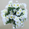 Silk Daisy Bunch White 49cm - D026 C2