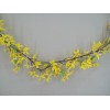 Silk Forsythia Garland 182cm - F019 