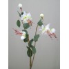 Silk Double Fuchsia Stem Ivory 50cm - F026 H3